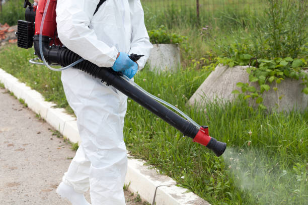 man spraying insects outdoors. pest control. man spraying insects outdoors. pest control.